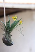Osterzeit