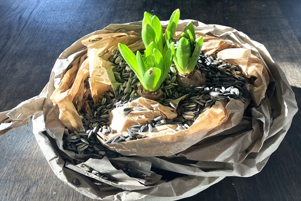 Atelier Henriette Dornberger - Aktuell - Fr&uuml;hlingsgruß